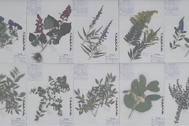 正文适合核对表述