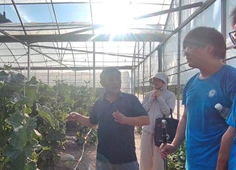 正文适合核对表述